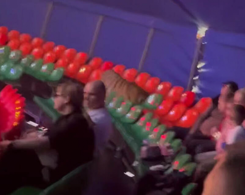 После инцидента с тигром в цирке Ростова возбудили уголовное дело