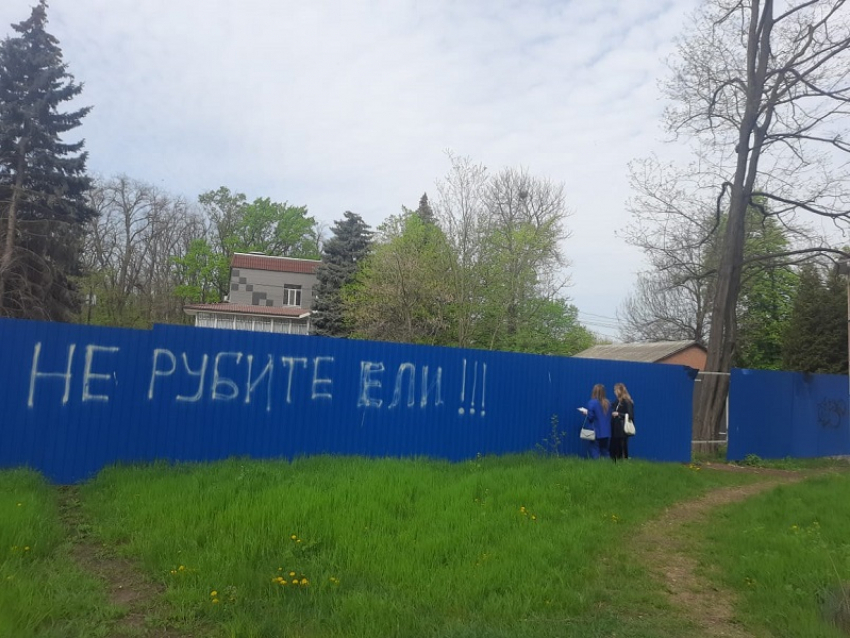 Суд о вырубке деревьев в Первомайском районе Ростова-на-Дону закрыли от слушателей и журналистов