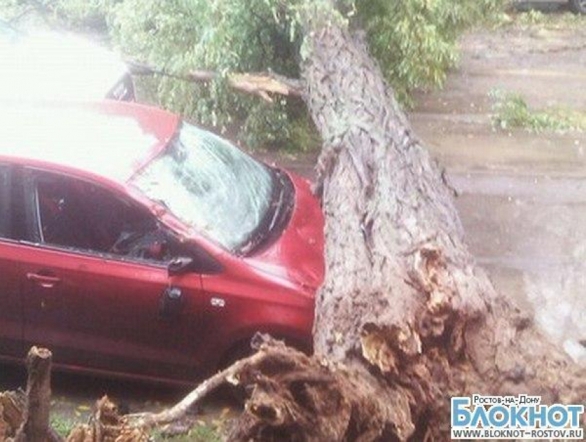 В Ростове из-за ураганного ветра падают рекламные щиты и деревья