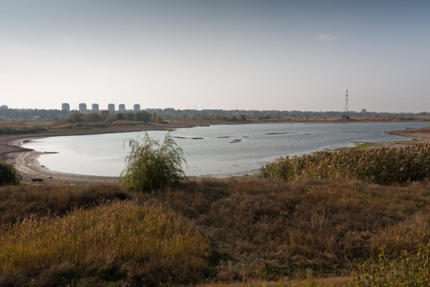 Инвалид из Ростовской области застрял в грязи и умер 