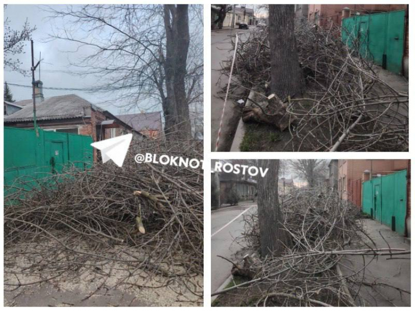 «Третьи сутки безвылазно сидим»: в Ростове срезанные ветки деревьев перегородили проезжую часть и заблокировали людей в доме 
