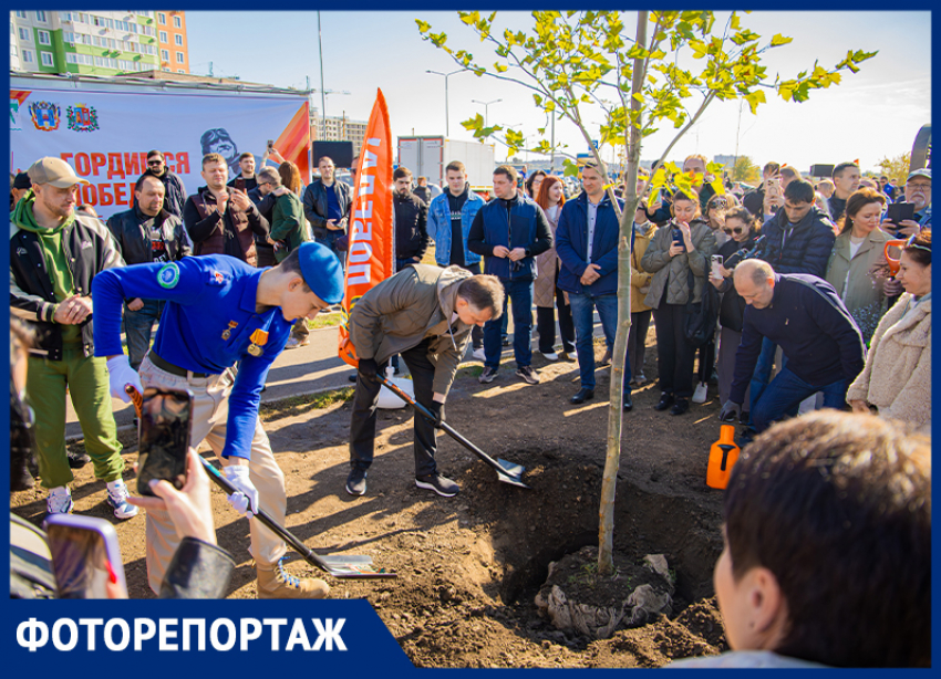 В День древонасаждения более трех тысяч деревьев и шесть тысяч кустарников высадили в Ростове
