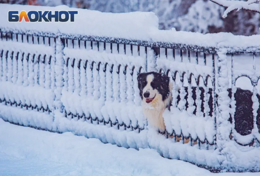 Снег с дождем надвигаются на Ростовскую область  