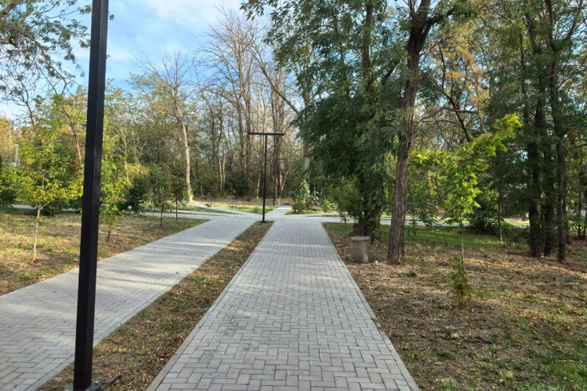 В Аксае продолжают обновлять улицу Ермака: аварийные деревья заменят новыми