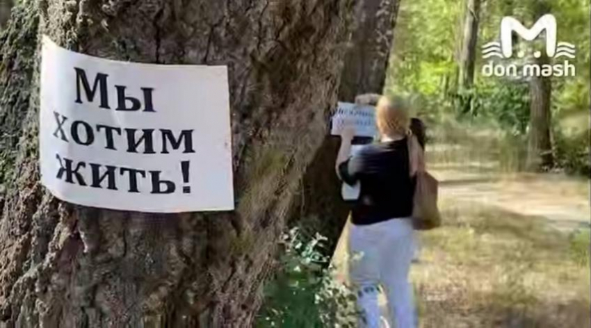 Экоактивисты вышли обнимать деревья в Кумженской роще в Ростове