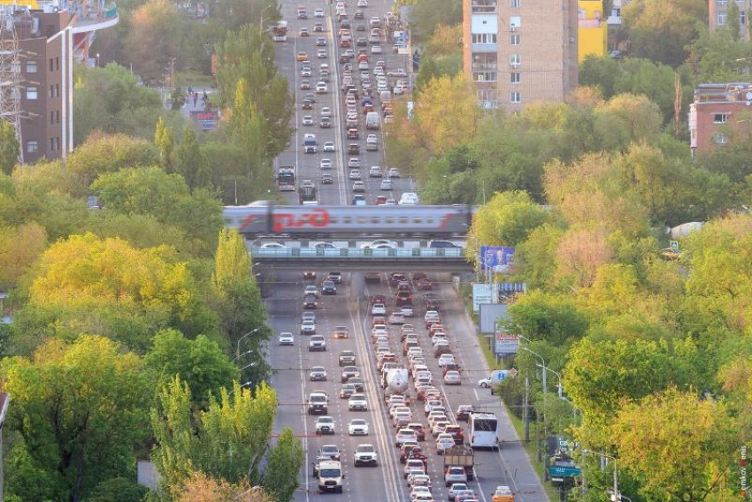 Власти Ростова в озеленении сделают ставку на качество, а не количество