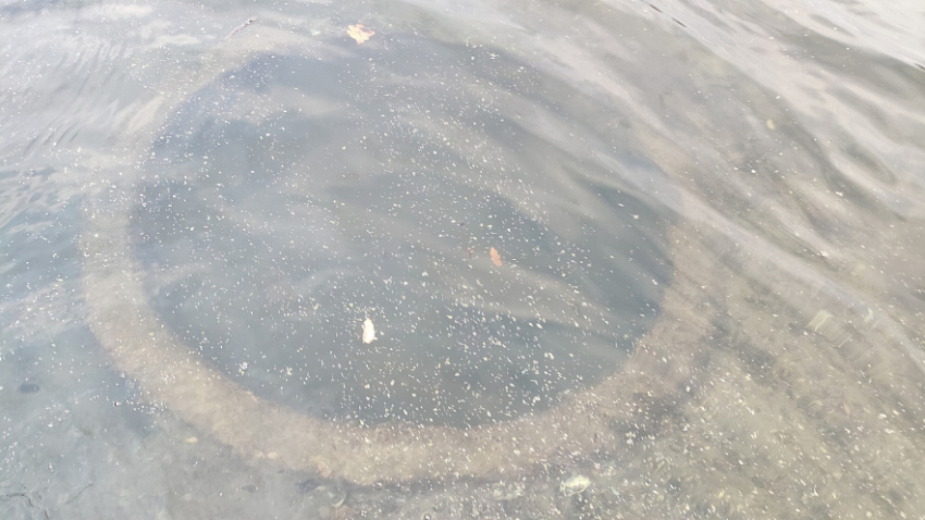 Уникальную находку обнаружили поисковики на дне Донца в Ростовской области