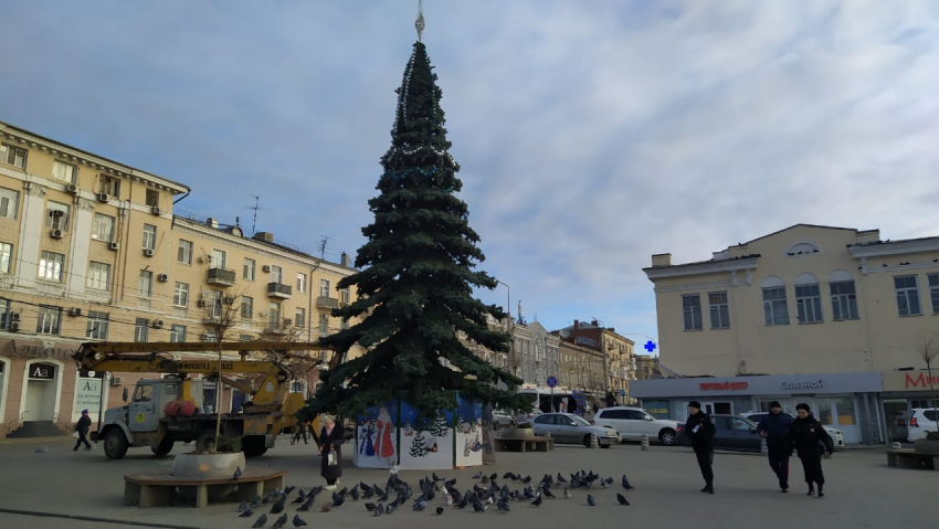 В Ростове в разных районах города начали установку новогодних елок