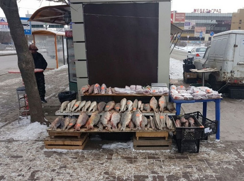 Жуткую обработку рыбы на уличном прилавке произвели в Ростове