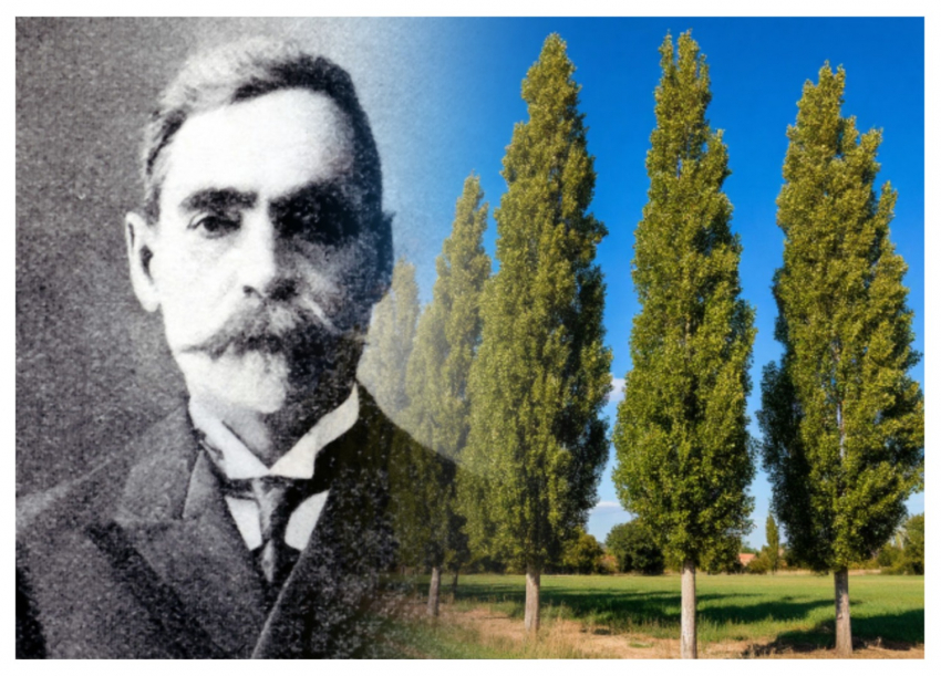 Календарь: 120 лет со дня подарка ростовчанам от купца Бахчисарайцева 