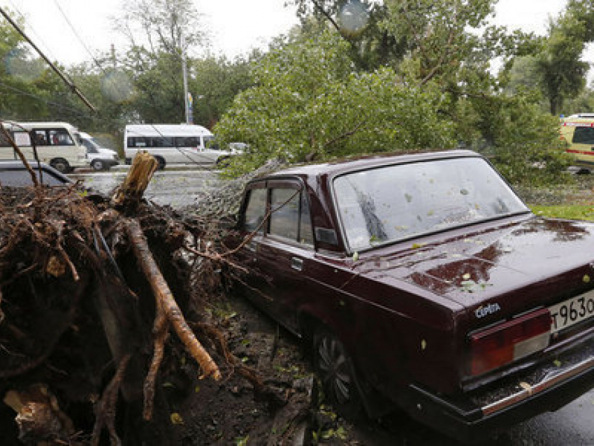 В Ростовской области начаты выплаты за утрату имущества во время урагана 
