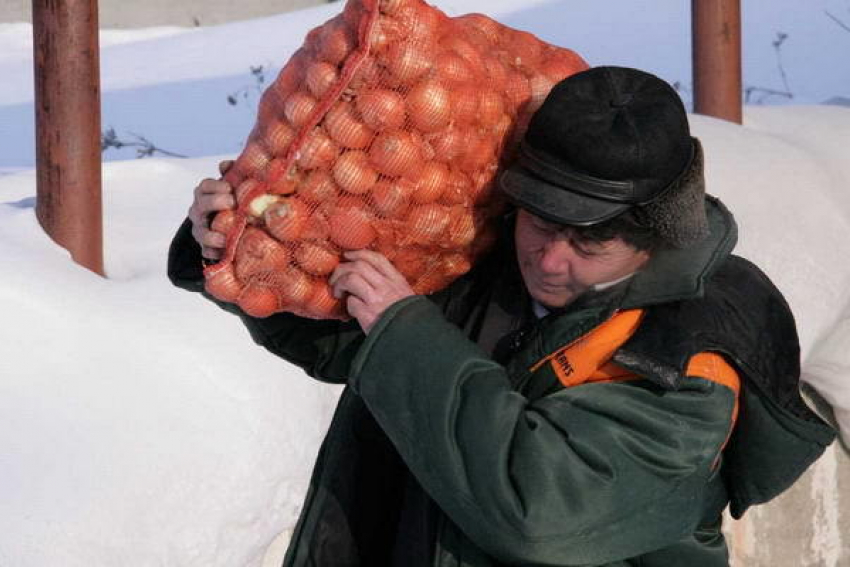 Овощного предпринимателя из Ростовской области обманули на 30 тонн лука