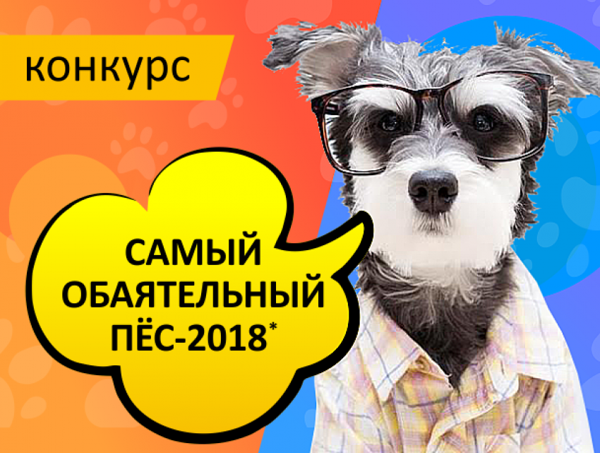 Объявляем о начале конкурса «Самый обаятельный пёс-2018"