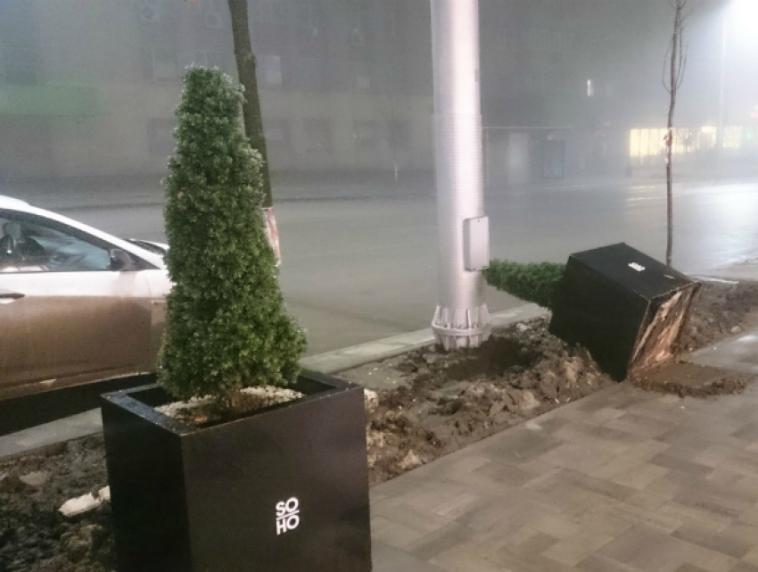 Хулиганы-вредители распотрошили урны с мусором и опрокинули елку в центре Ростова
