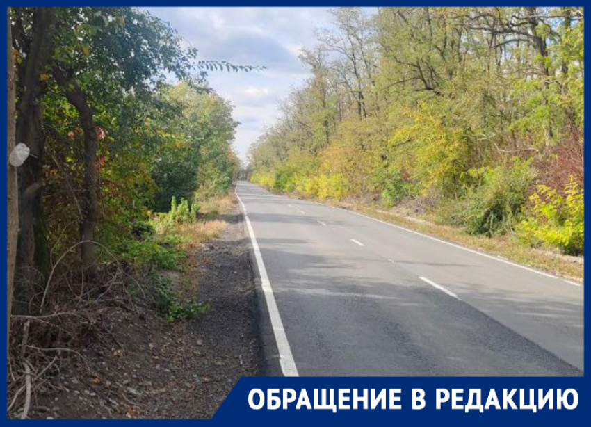 Дончанка пожаловалась на опасную дорогу возле остановки школьного автобуса