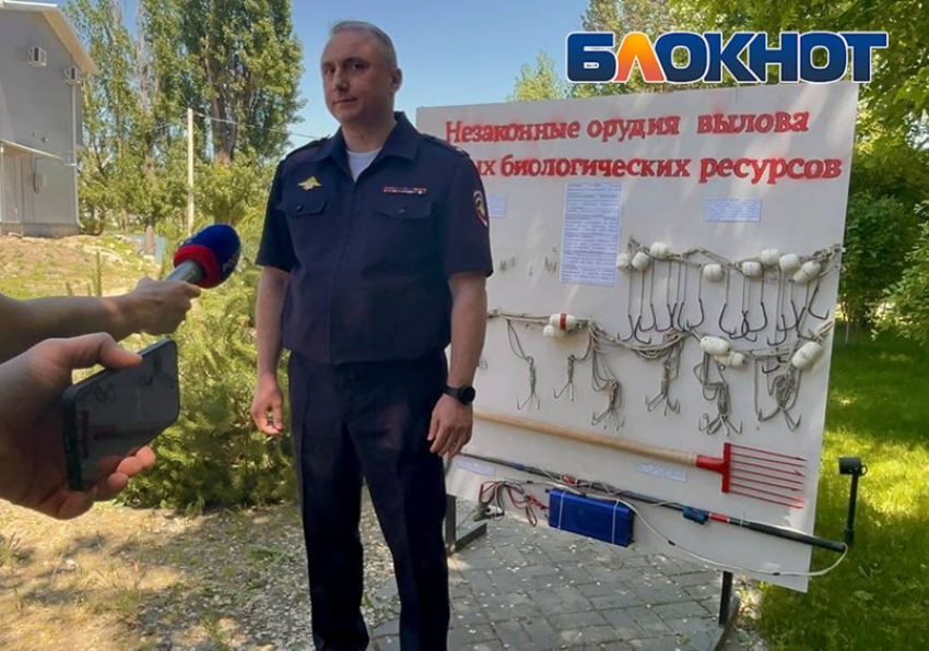 В Ростовской области нашли 30 тонн опасной рыбы на почти 10 млн рублей 