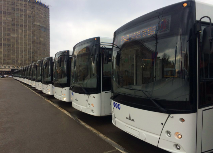 Власти Ростова закупят 100 новых автобусов при помощи кредита от ВЭБ.РФ