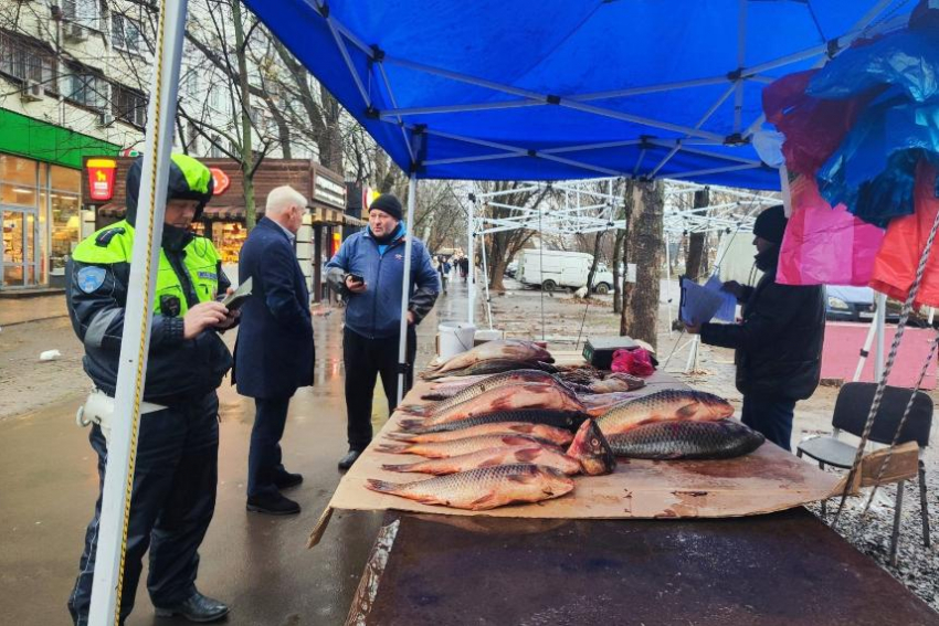 На Дону в 2026 году продолжат борьбу с незаконной торговлей