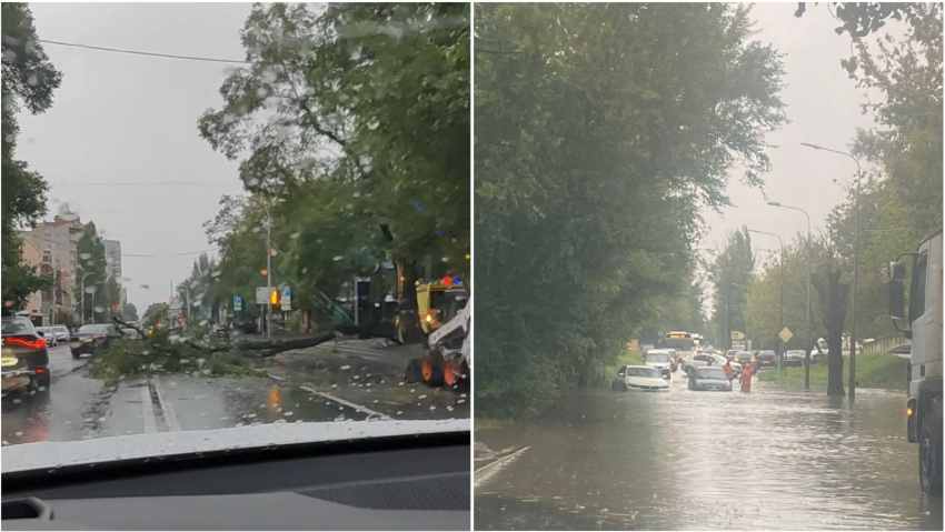 Деревья падали, автобусы и машины тонули в реках воды: показываем последствия ливня в Ростове