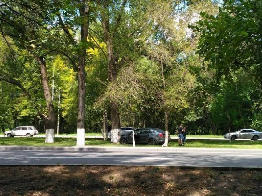 Вылетевшего с дороги водителя «Шкоды» задержало дерево в Ростове