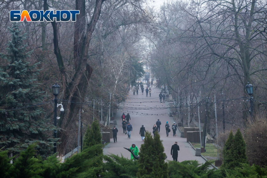 Небольшое потепление ожидается в Ростове 22 декабря