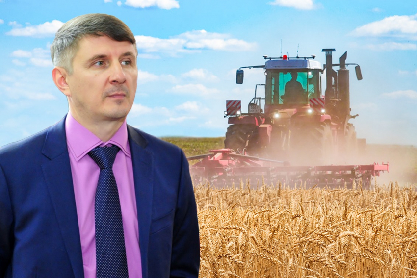 Аграрии Дона могут потерять миллиарды: эксперт рассказал, как засуха ударит по урожаю и ценам