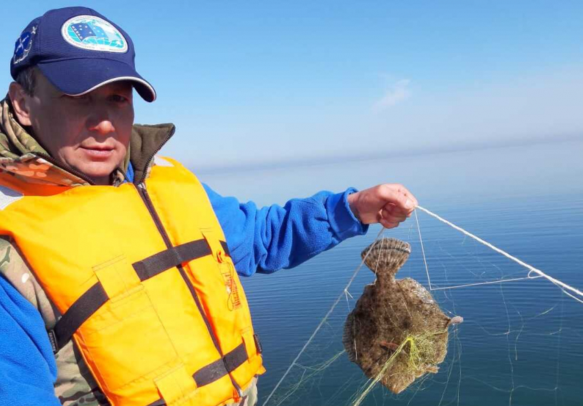 Улов камбалы в Азовском море в полтора раза превысил рекорд прошлого года 