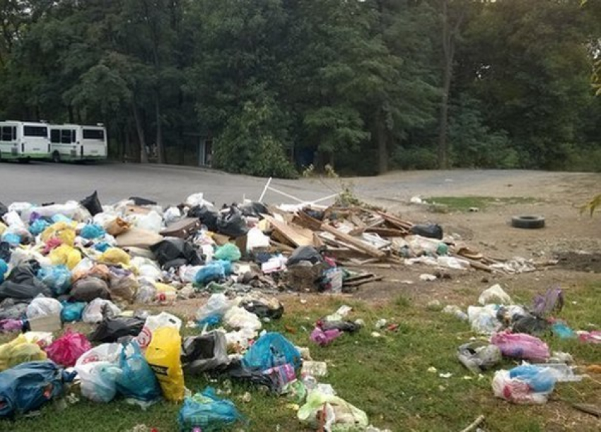 Остановка «Лесничество» в Ростове-на-Дону утопает в мусоре