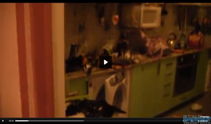 Полная видеосъемка из взорванной квартиры сотрудницы министерства образования