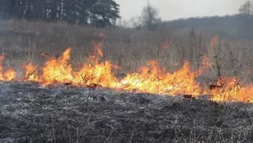 В Ростовской области пожар тушили пять часов