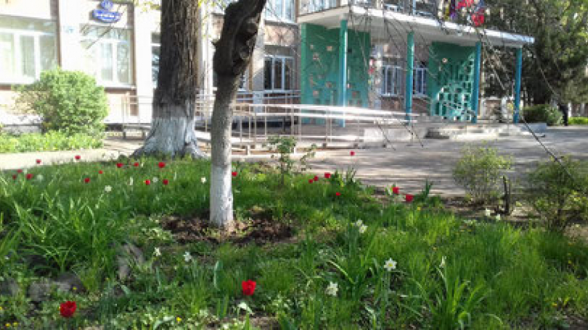 В Ростове снесут школу за 10 миллионов рублей 