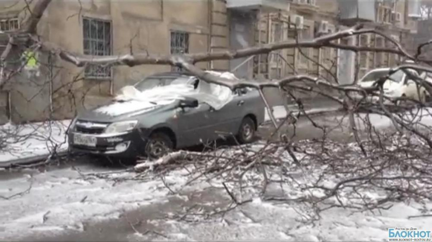 В Ростове из-за сильного ветра дерево упало на автомобиль (ВИДЕО)