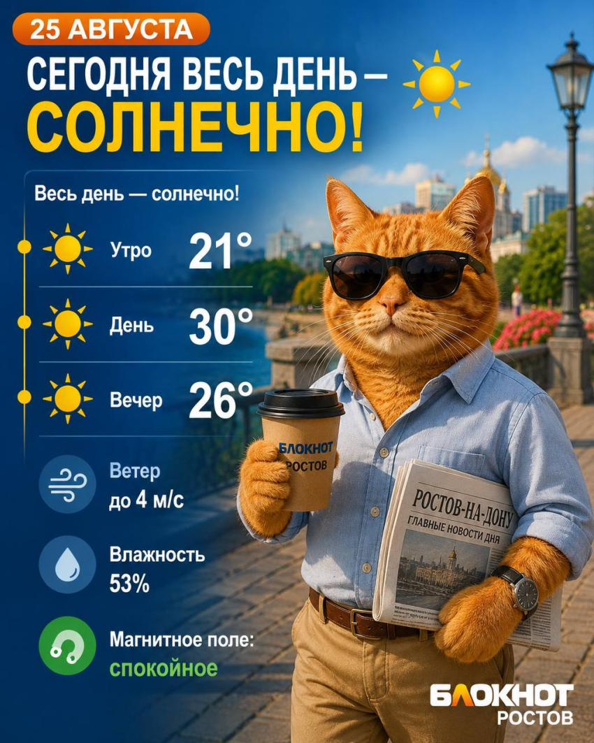 Погода на 25-ое августа: солнечно весь день!