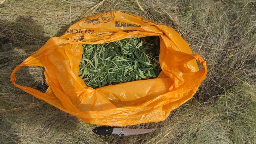 В Ростовской области поймали контрабандиста с мешком марихуаны