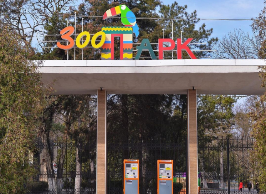 Ростовский зоопарк разыгрывает бесплатные билеты среди тех, кто сделает прививку