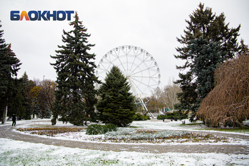 Начальник Ростовского гидрометцентра Назарова предсказала снежный и морозный декабрь