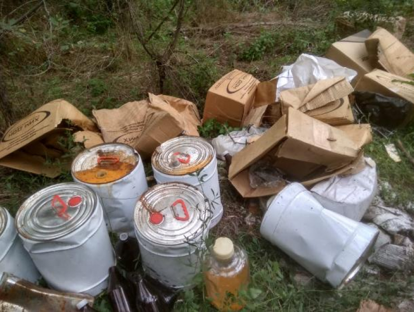 Природоохранная прокуратура Ростова выяснит, кто выбросил ядовитые отходы в Кумженскую рощу
