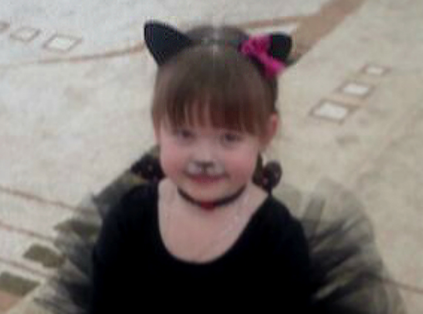 Кошечка-кокетка Вероника в конкурсе «Звездочки Нового года-2017»