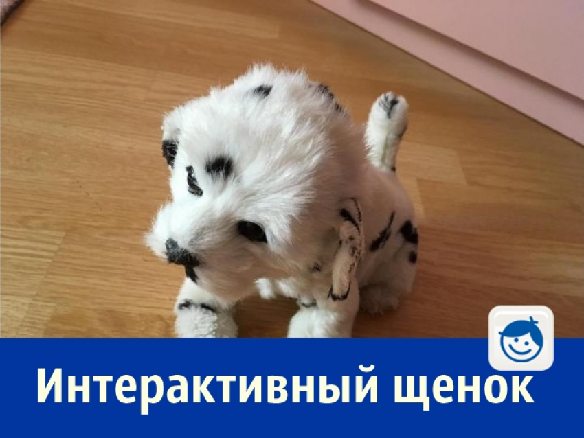 Почти живого интерактивного щенка могут приобрести жители Ростова