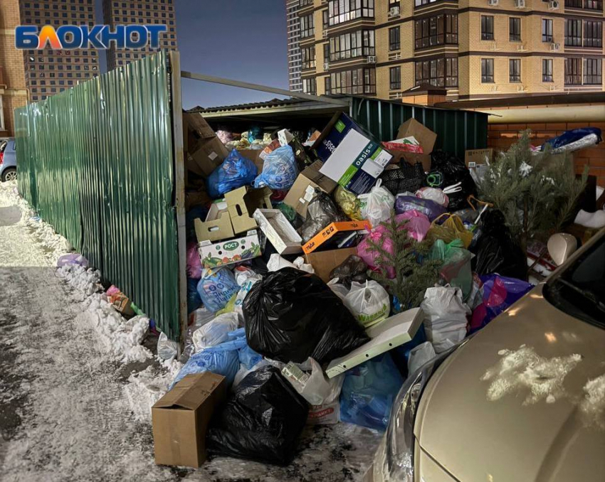 Стало известно, где в Ростове пока не вывозят мусор из-за гололеда