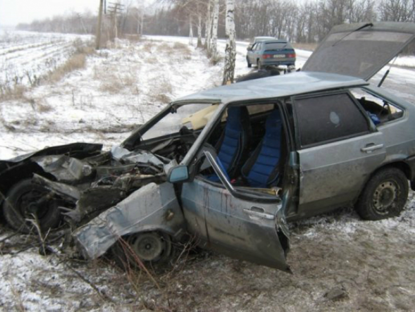 Водитель ВАЗа погиб, его пассажир получил травмы после столкновения с деревом на трассе в Ростовской области