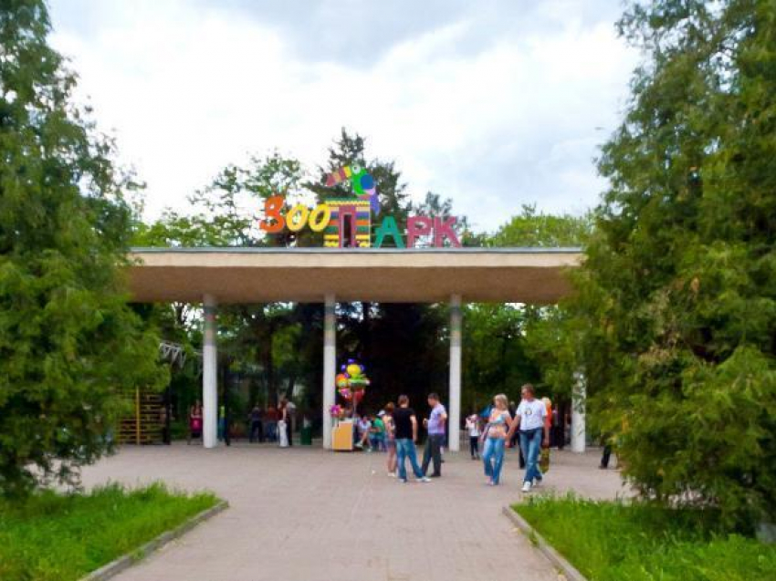 «Савана» и «Львиный прайд» появятся в зоопарке Ростова