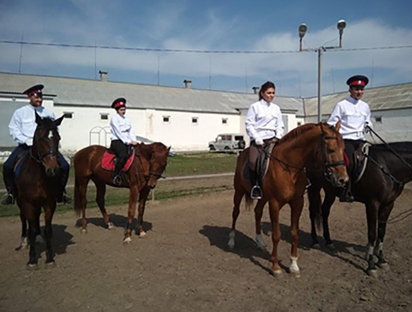 Казаки на конях будут успокаивать дебоширов во время матчей ЧМ-2018 в Ростове