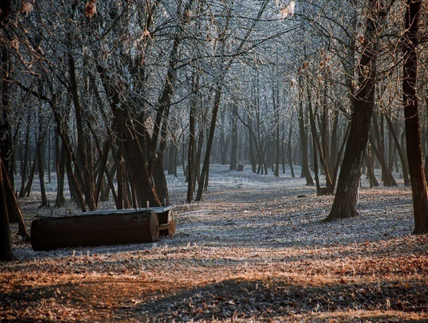 Левый берег Ростова власти решили преобразить и обустроить к осени 2017 года