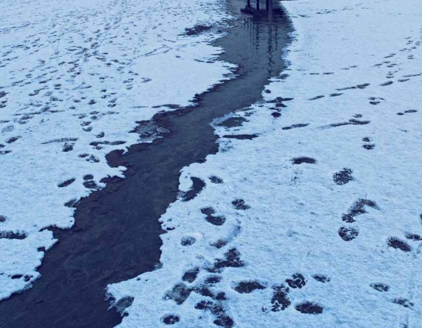 В Ростове 12-летний школьник провалился под лед на Северном водохранилище