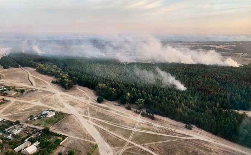 В МЧС спрогнозировали в Ростовской области сильные лесные пожары