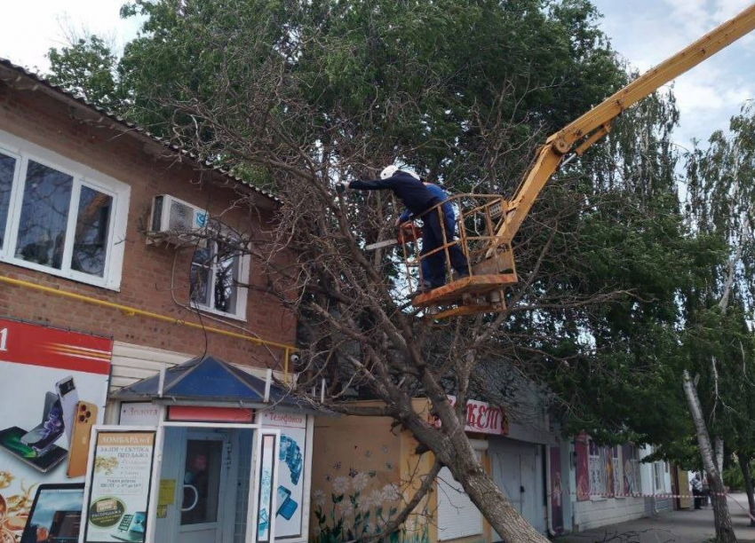 В Ростовской области огромное дерево рухнуло на двухэтажку 