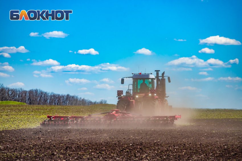 Из Ростовской области отправили в Турцию 2,8 тысячи тонн кормов