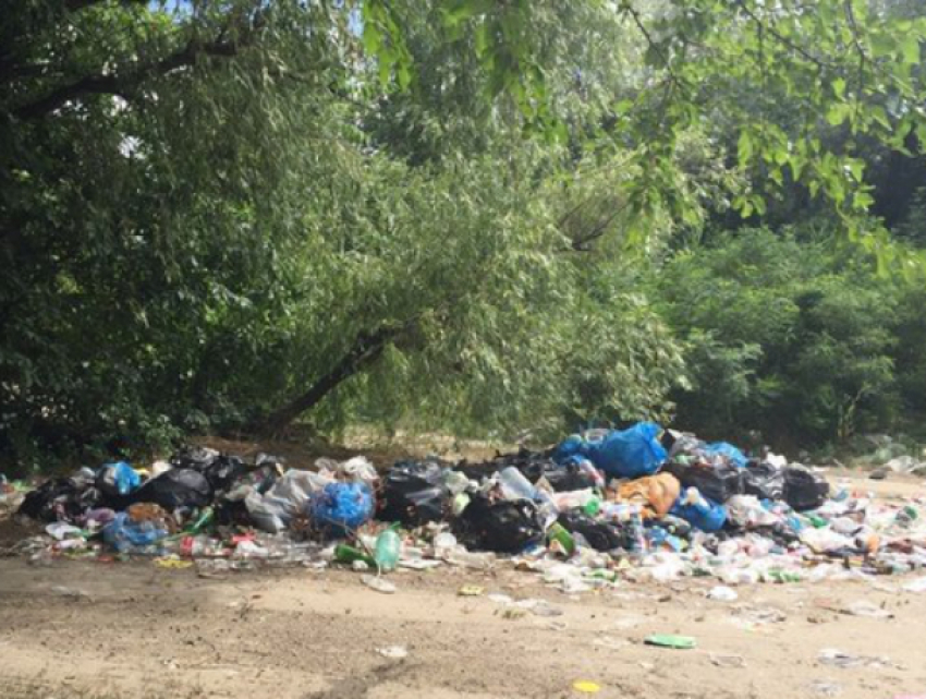 Ростовчанин обнаружил гору зловонного мусора на Зеленом острове
