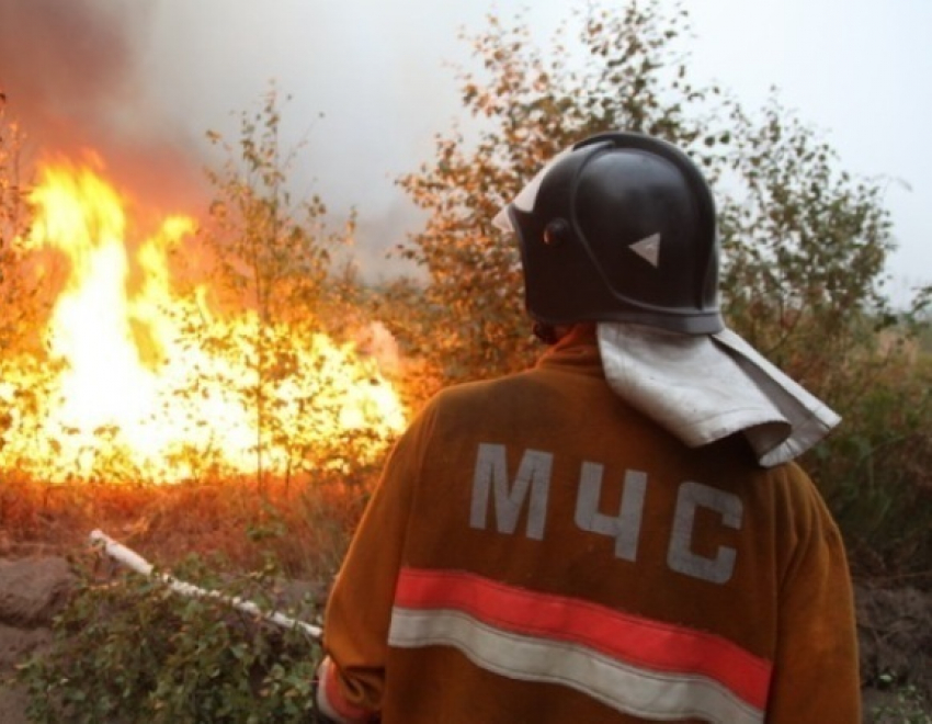 Из-за лесных пожаров в Верхнедонском районе Ростовской области введен режим ЧС